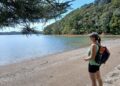 Digital Nomad Information to Dwelling in New Zealand