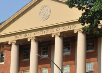 Court docket Blocks Trump’s Funding Cuts to Medical Analysis