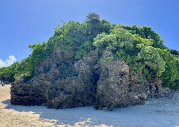 Ishigaki: The Southernmost Island of Okinawa