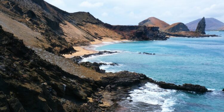 The right way to Journey Sustainably within the Galapagos Islands