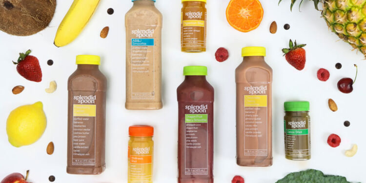 Splendid Spoon Evaluate 2025: The whole lot You Ought to Know