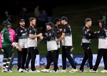 Sky Stadium, Wellington, pitch historical past and T20I data