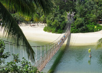 Develop into a Home Sitter in Singapore