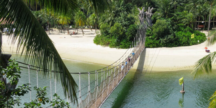 Develop into a Home Sitter in Singapore