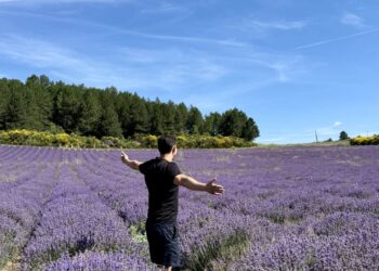 How one can Journey for Low cost (or Free) in 2025