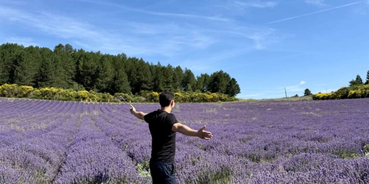 How one can Journey for Low cost (or Free) in 2025