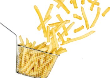 RFK needs fries cooked in beef tallow, however are they any more healthy? : Photographs