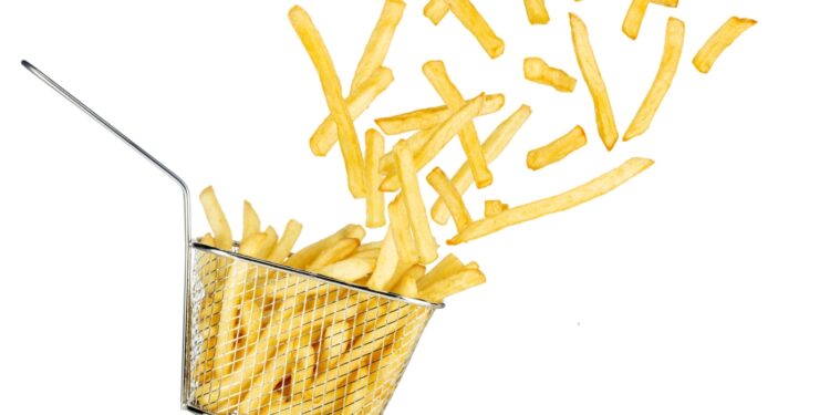 RFK needs fries cooked in beef tallow, however are they any more healthy? : Photographs