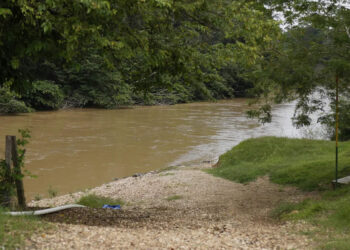 As soon as a migratory freeway, the Darien Hole has been left empty below Trump crackdown