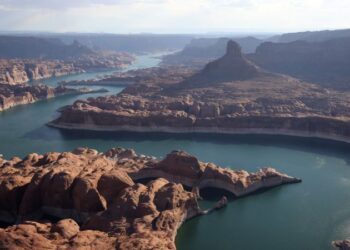 Lake Powell’s whole capability is shrinking, report exhibits