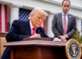 Trump’s ‘sledgehammer’ method could trigger commerce wars – monetary analyst — RT World Information