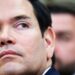 Marco Rubio Kills State Division Anti-Propaganda Store, Guarantees ‘Twitter Information’ Sequel