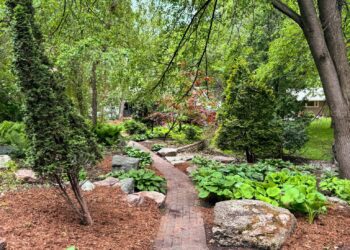 My 2024 Yard Backyard Plans and the Emotional Advantages of Gardening | Wit & Delight