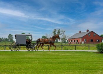 Issues To Do In Amish Nation