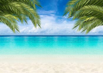 Membership Paradise Coron: The Final Luxurious Escape