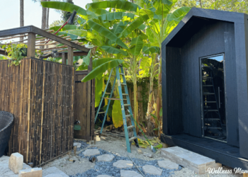 Find out how to Construct a Sauna In Your Yard