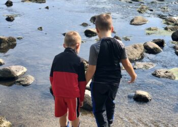 Spring Bucket Listing: Household Enjoyable