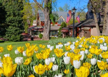 Have fun The Strawberry Competition At Peddler’s Village