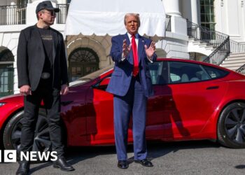 Musk indicators ‘considerably’ stepping again from Doge as Tesla income plunge