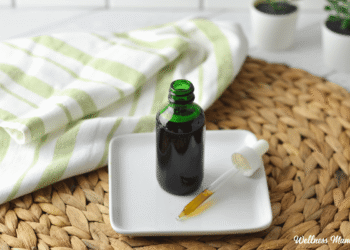 Home made Stevia Extract