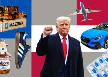 Sector by sector: the Trump tariff fallout