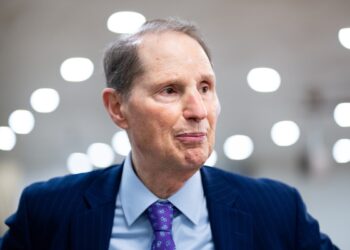 Senator places maintain on Trump’s nominee for CISA director, citing telco safety ‘cowl up’