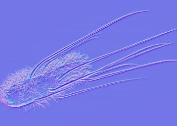 Intestine micro organism might play a task within the rise in colon most cancers in younger adults : Pictures