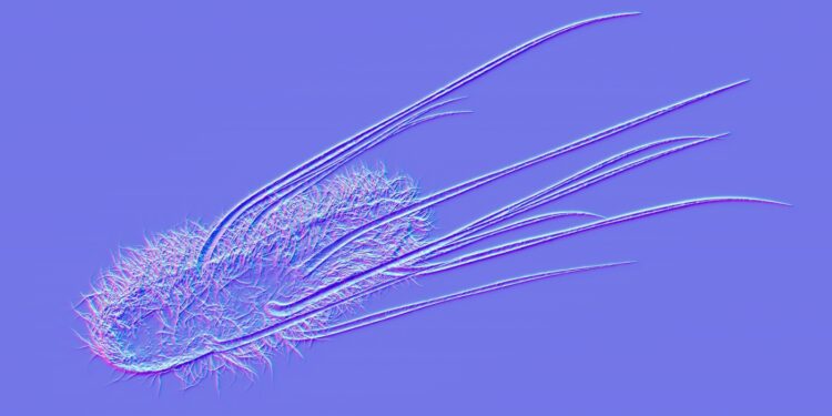 Intestine micro organism might play a task within the rise in colon most cancers in younger adults : Pictures