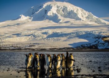 Trump tariffs hit uninhabited islands like Heard, McDonald : NPR