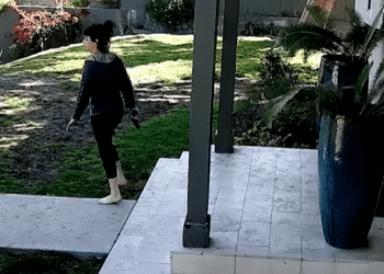 LAPD releases tense physique cam footage in capturing of Weezer bassist’s spouse – Nationwide