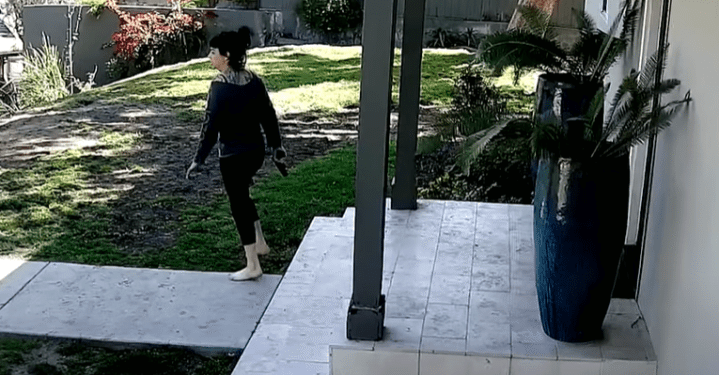 LAPD releases tense physique cam footage in capturing of Weezer bassist’s spouse – Nationwide