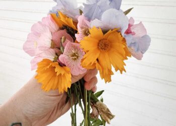 10 Issues I Love Sunday