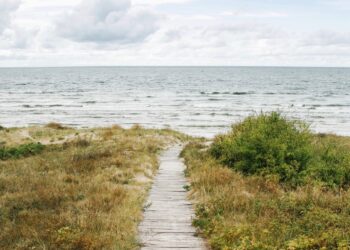 Our Edit: Outdated Navy’s Summer time Sale