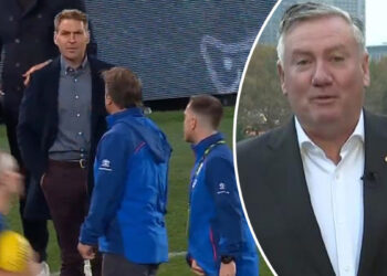 Luke Beveridge, Kane Cornes conflict earlier than Western Bulldogs vs Geelong Cats recreation, video