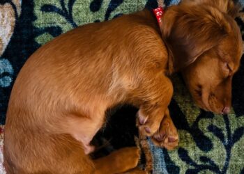 Have a Stress-free Weekend. | Cup of Jo