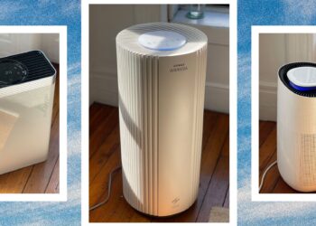 15 Finest Air Purifiers (2025): Coway, AirDoctor, IQAir