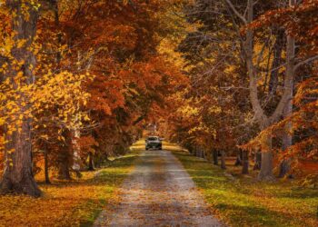 Greatest Day Journeys from Toronto for 2025: High 24 Escapes