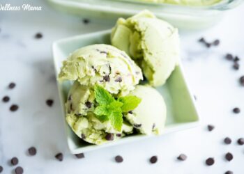 Selfmade Mint Chocolate Chip Ice Cream Recipe (Dairy Free & Paleo)