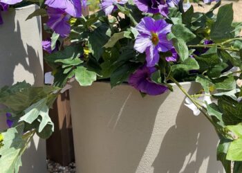 Spring Amazon Haul – Residing in Yellow