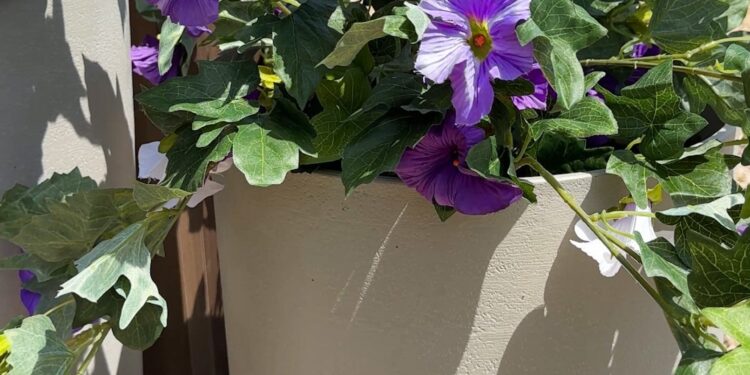 Spring Amazon Haul – Residing in Yellow