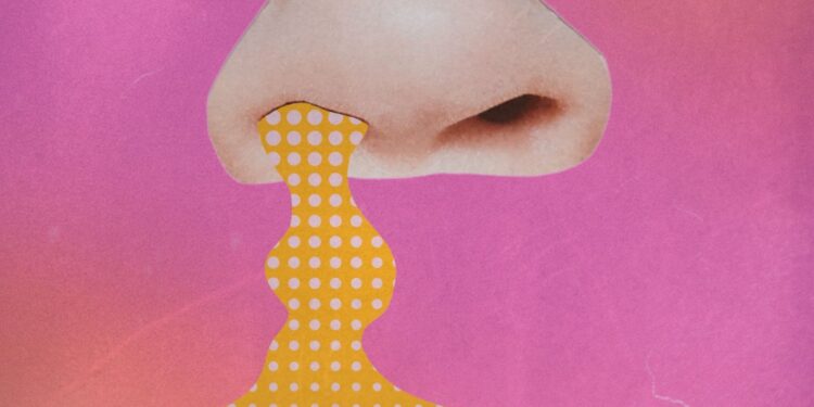 Why Do I All the time Have a Runny Nostril?