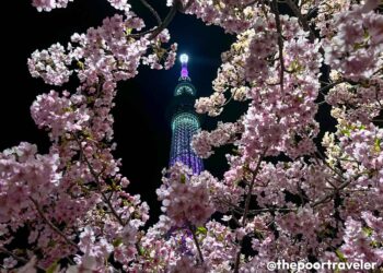 Prime 15 Common Vacationer MISTAKES in JAPAN