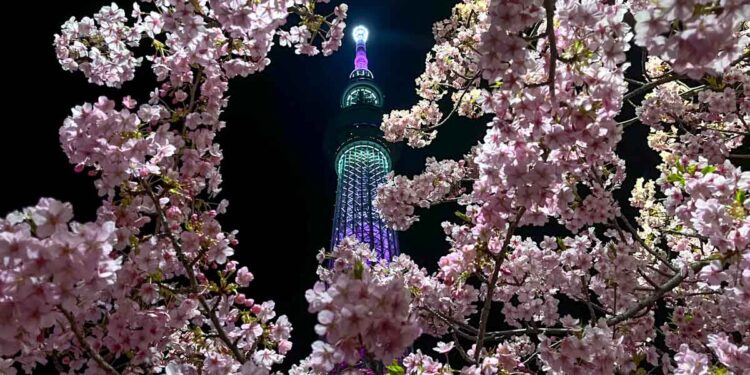 Prime 15 Common Vacationer MISTAKES in JAPAN