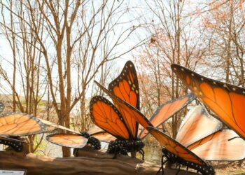 Fairchild Tropical Botanic Backyard’s Newest Exhibition Will Give You a Buzz
