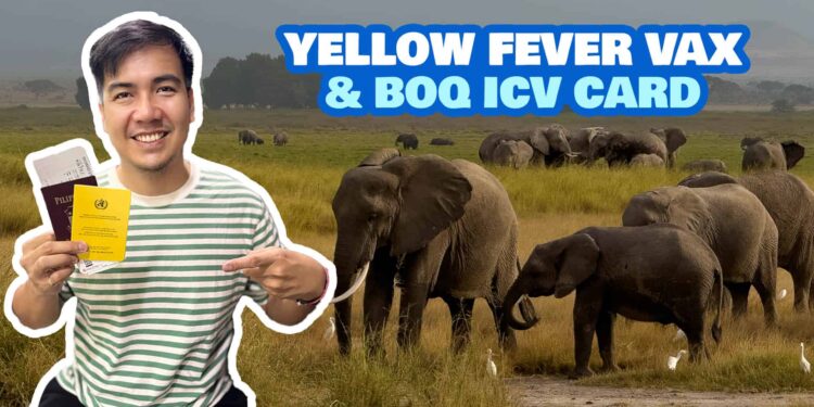 Learn how to Get YELLOW FEVER Vaccine & ICV within the Philippines • BOQ Necessities & FAQs