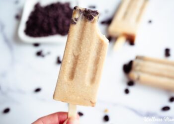 Chocolate Chip Espresso Popsicles