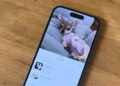When to anticipate iOS 18’s subsequent replace