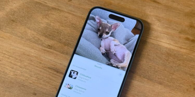 When to anticipate iOS 18’s subsequent replace