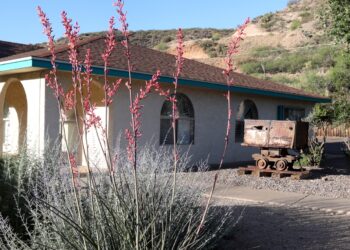 This county voted for Trump. It additionally relies upon closely on Medicaid : Photographs