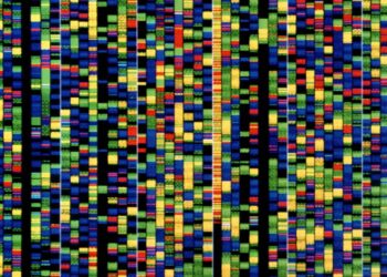 The Obtain: Google DeepMind’s DNA AI, and heatwaves’ influence on the grid